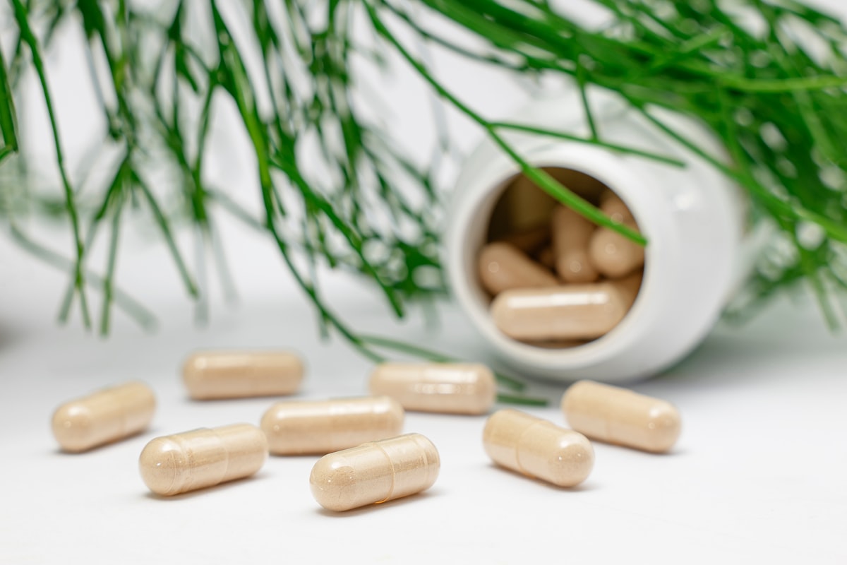 Glucosamine and Chondroitin supplements